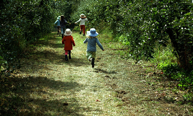 children at the apple orchard